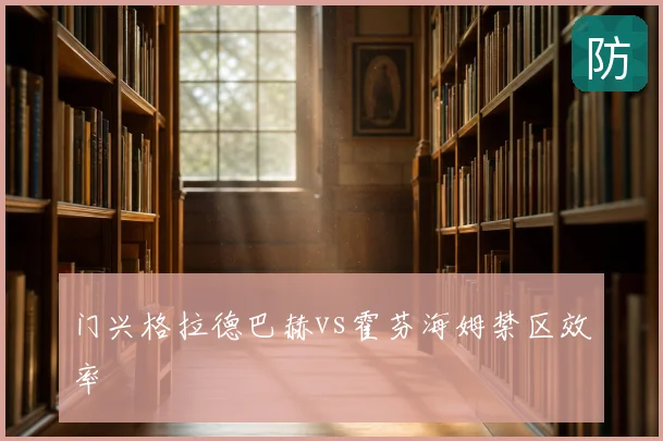 门兴格拉德巴赫vs霍芬海姆禁区效率